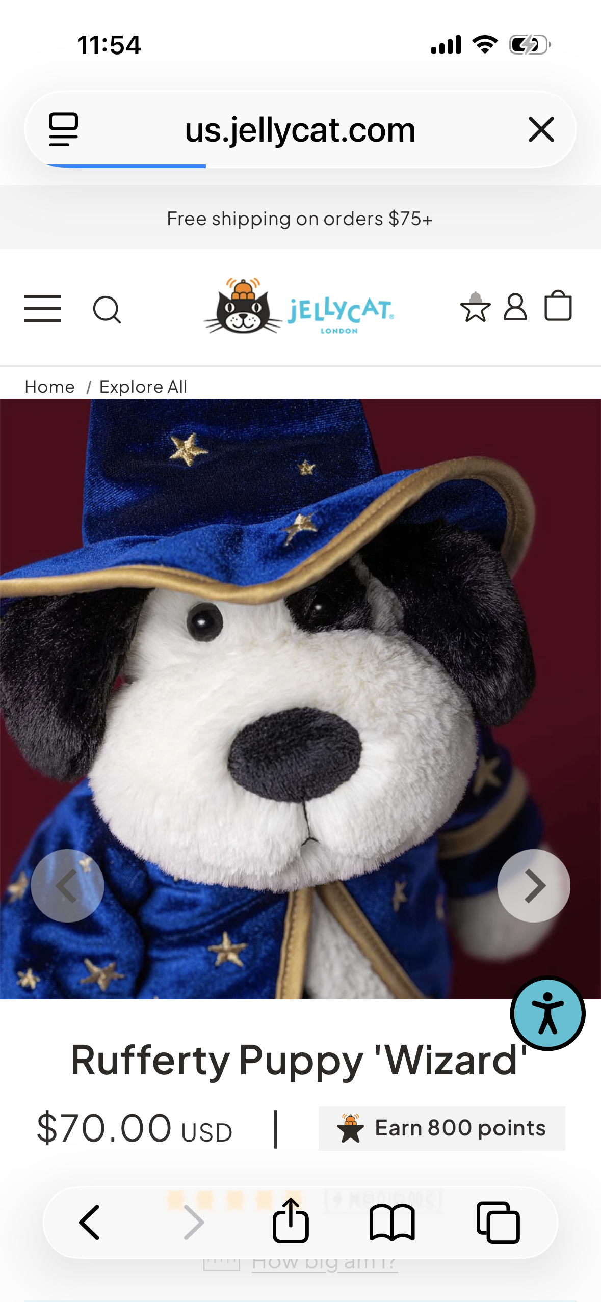 Rufferty Puppy Wizard